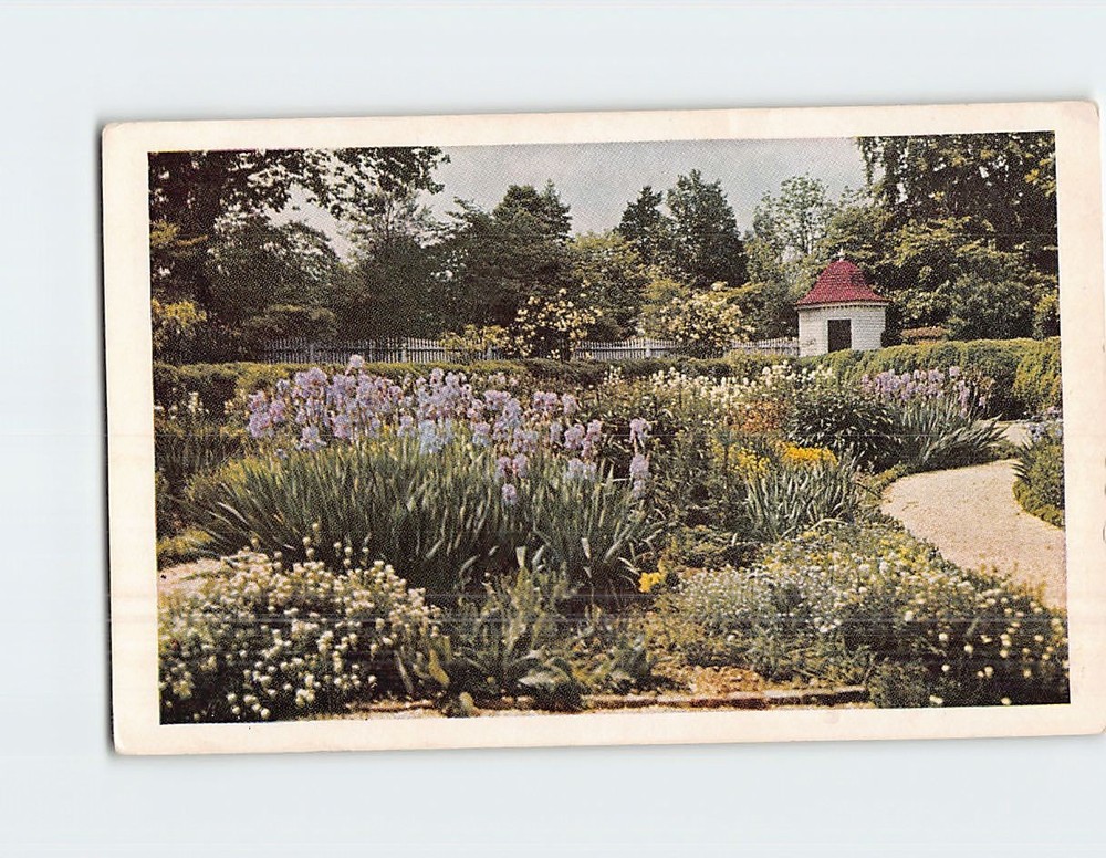 Postcard Flower Garden Mt. Vernon Virginia USA