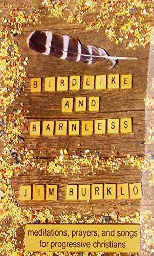 Birdlike and Barnless: Meditations, - Paperback, by Burklo Jim - Very Good