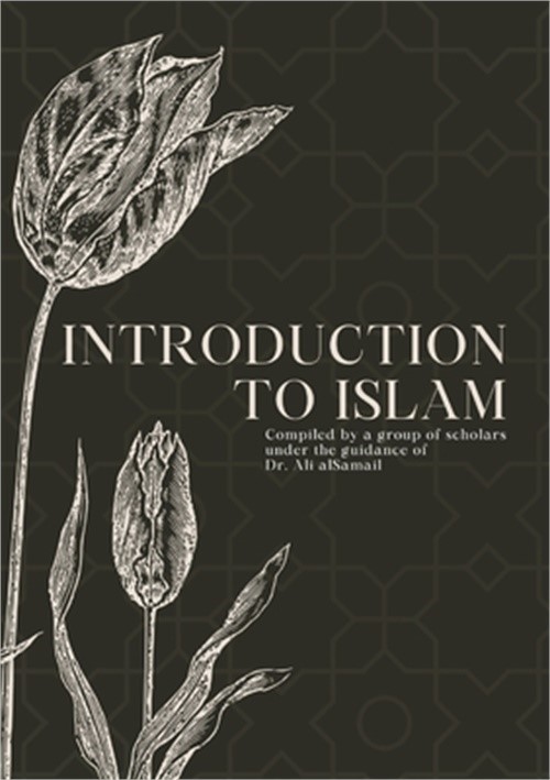 Introduction to Islam (Paperback or Softback)