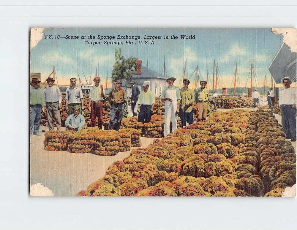 Postcard Scene at the Sponge Exchange Tarpon Springs Florida USA