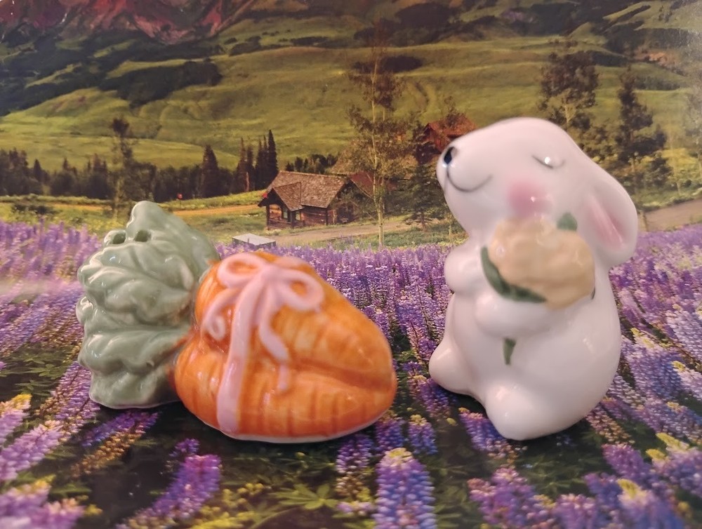 Mini Salt And Pepper Shakers  - Bunny & Carrot - Easter Time