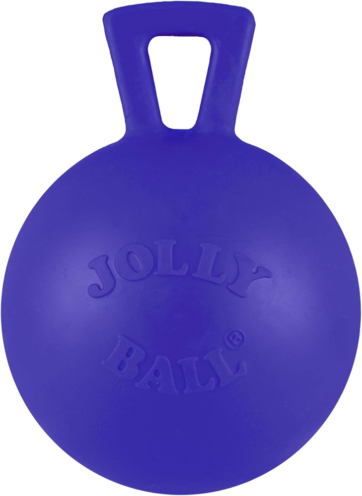 Jolly Pets Tug-n-Toss Heavy Duty Dog Toy Ball with Handle, 4 Inches/Petite, Blue