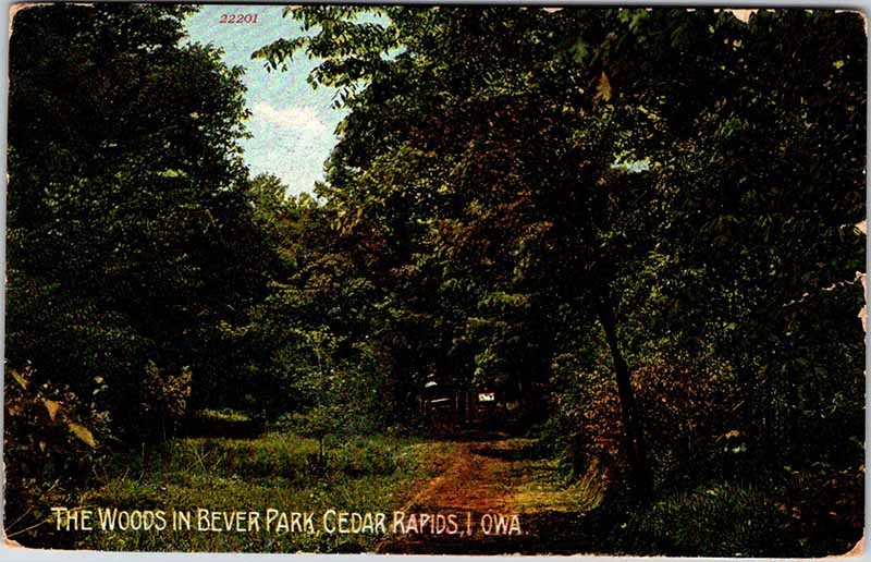 Postcard ROAD SCENE Cedar Rapids Iowa IA m/09 AL2527