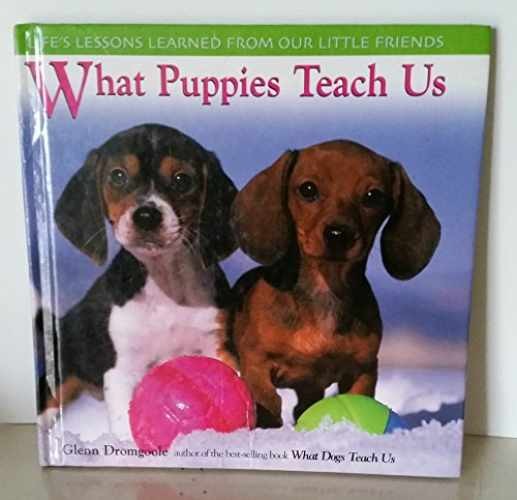 What Puppies Teach Us: Life's - Hardcover, by Dromgoole Glenn - Very Good