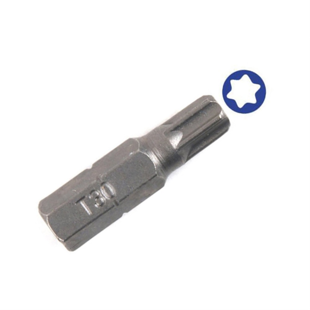 INS37169 Torx Insert Bit with 1/4