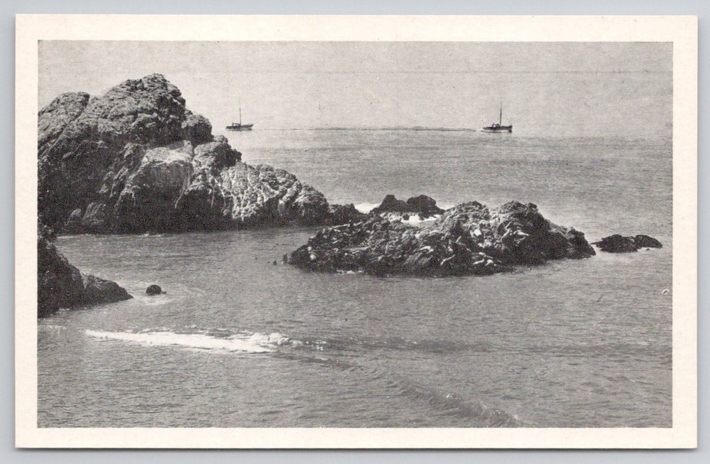 Seal Rocks San Francisco CA Cliff House Fishing Boats Vintage Postcard