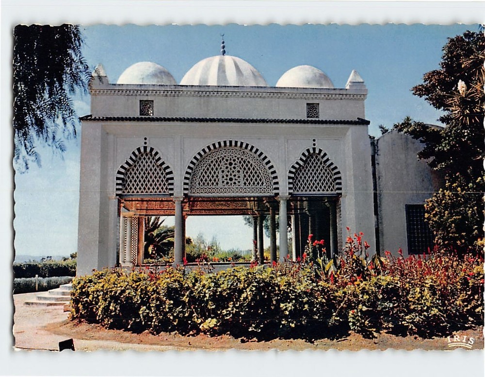 Postcard Belvedere Park in Tunis Tunisia