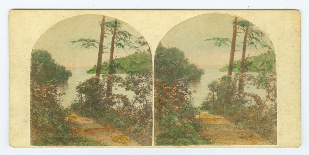 G2858~ NIAGARA River Tinted 1858/59 Stereoview New York Stereoscopic Co