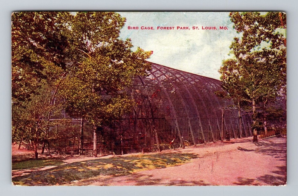 St Louis MO-Missouri Bird Cage Forest Park Vintage Postcard