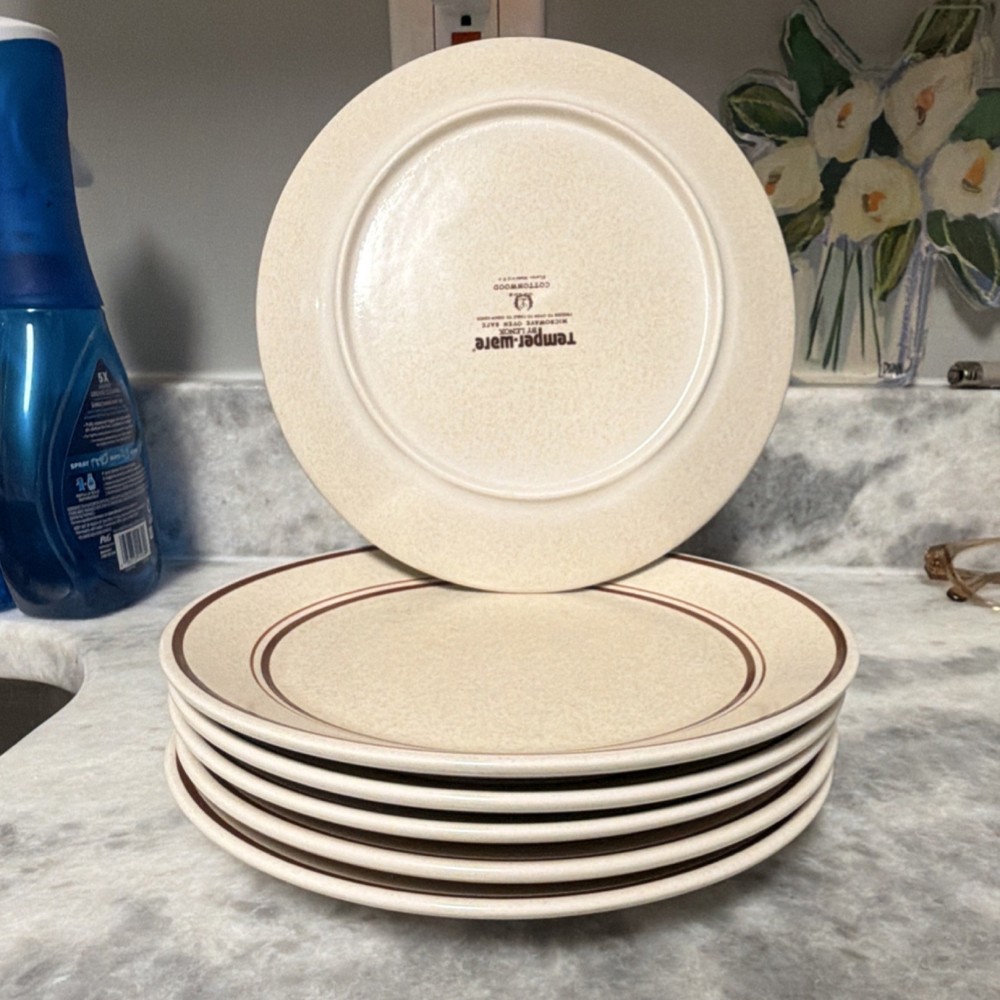 Lenox Temperware Cottonwood Dinner Plates