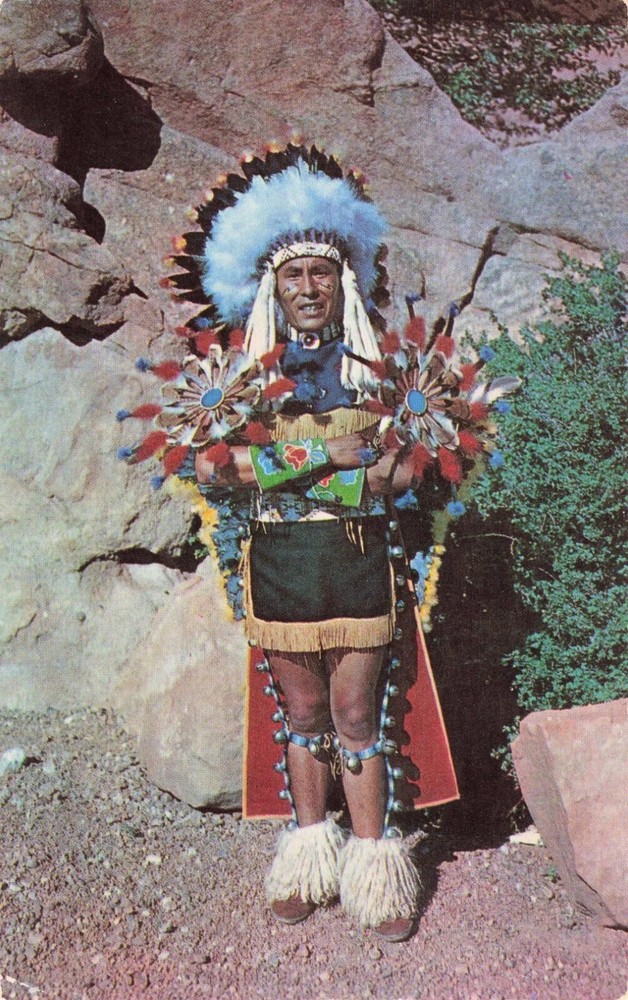 North American Indian Chief in Full Dress Costume - Postcard