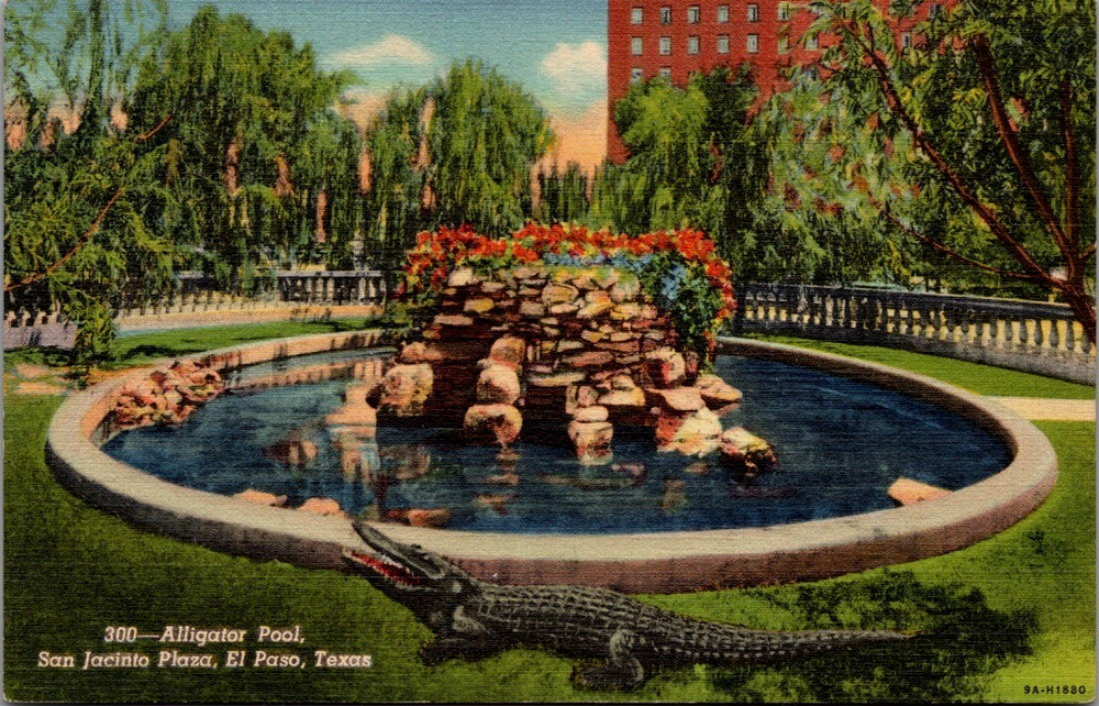 Alligator Pool San Jacinto Plaza El Paso Texas Linen Postcard