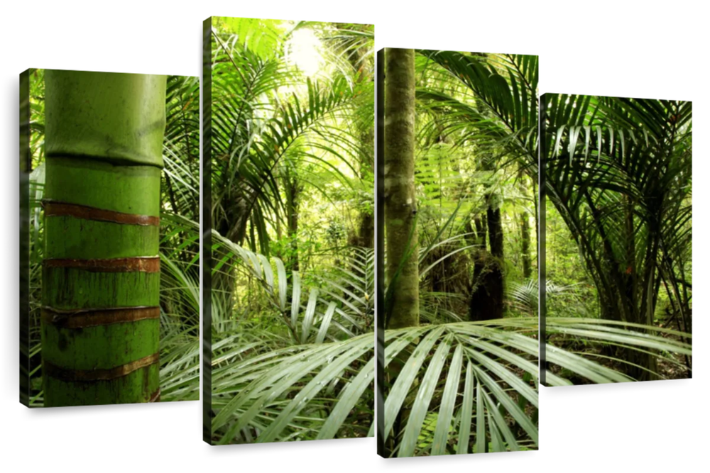 Into The Jungle Wall Art
