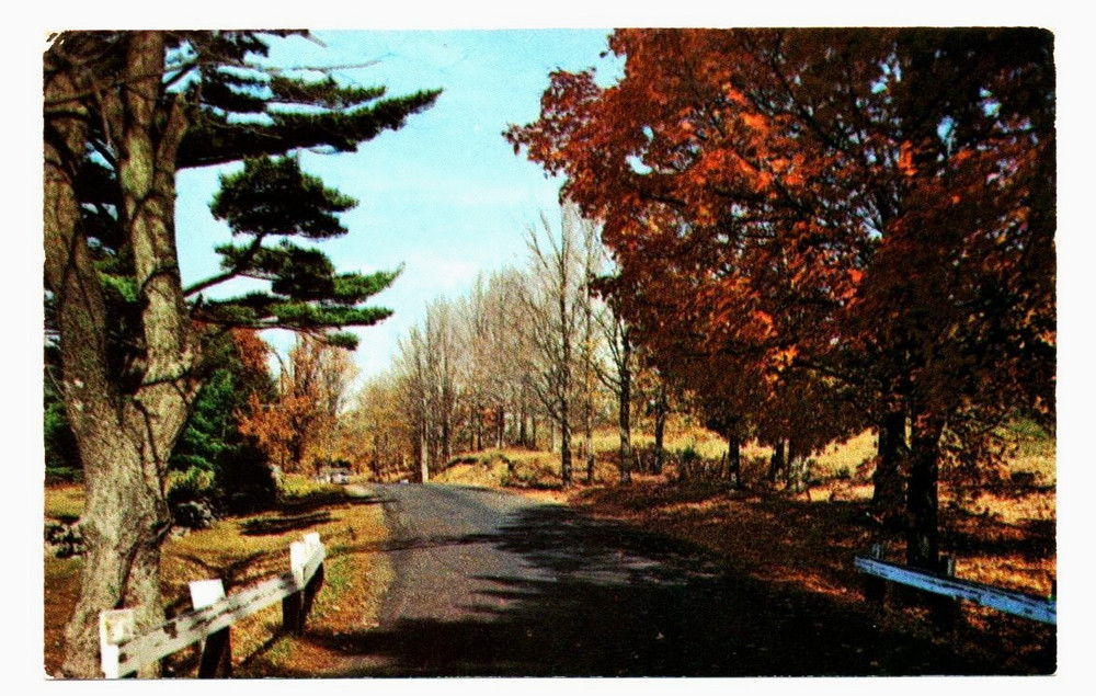 Vintage Postcard Alton Bay NH Lake Winnipesaukee Autumn Fall Foliage Don Sieburg