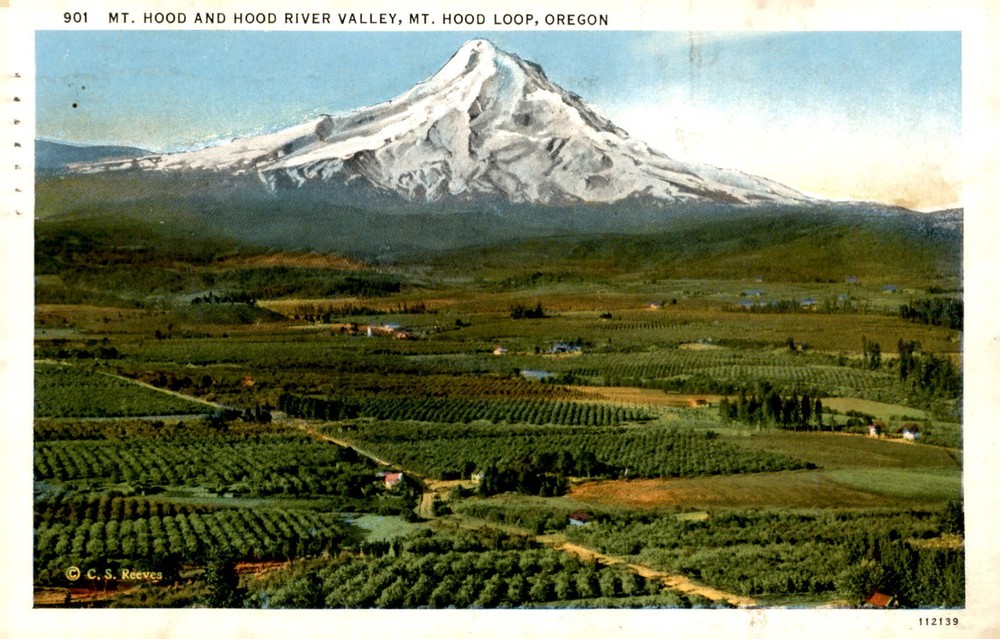 Mt. Hood and Hood River Valley, Oregon, 1901 Postcard