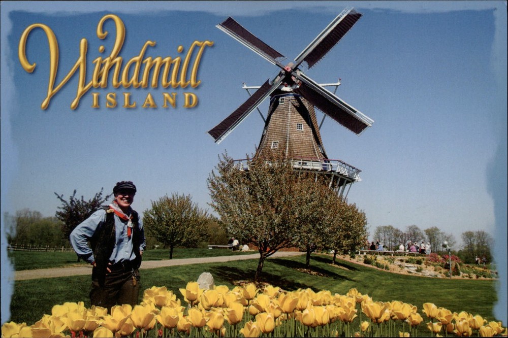 Michigan Holland De Zwaan Windmill yellow tulips ~ unused postcard sku655