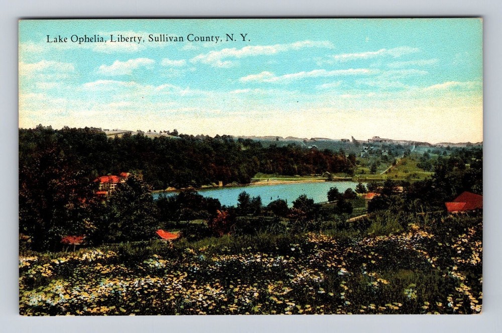 Sullivan County NY- New York, Lake Ophelia, Liberty, Antique, Vintage Postcard