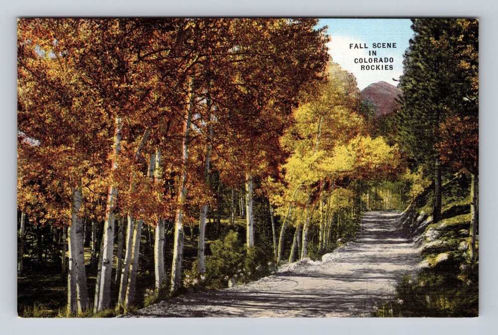 CO-Colorado, Fall Scene in Colorado Rockies, Antique Vintage Souvenir Postcard