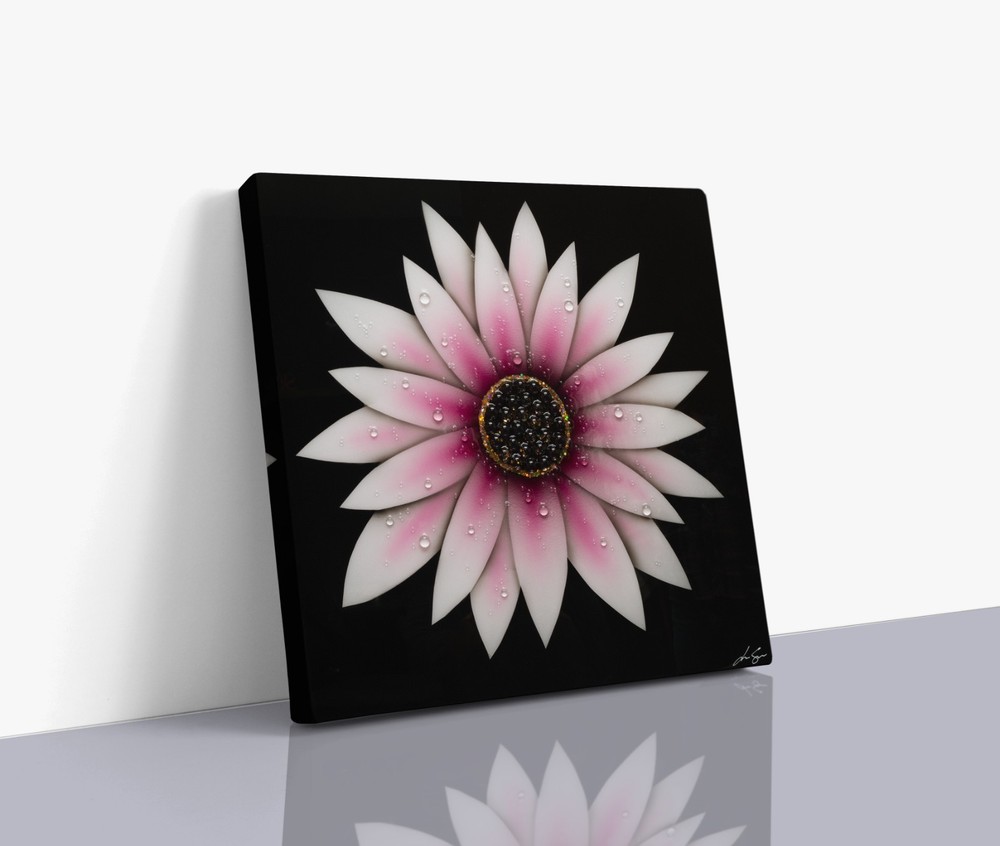 Soft Pink Daisy Canvas Giclée | Modern Floral Wall Art with Water Drops 24x24