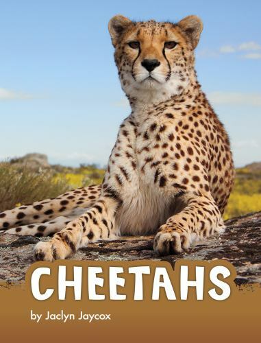 Cheetahs, Paperback by Jaycox, Jaclyn, Brand New, Free shipping in the US