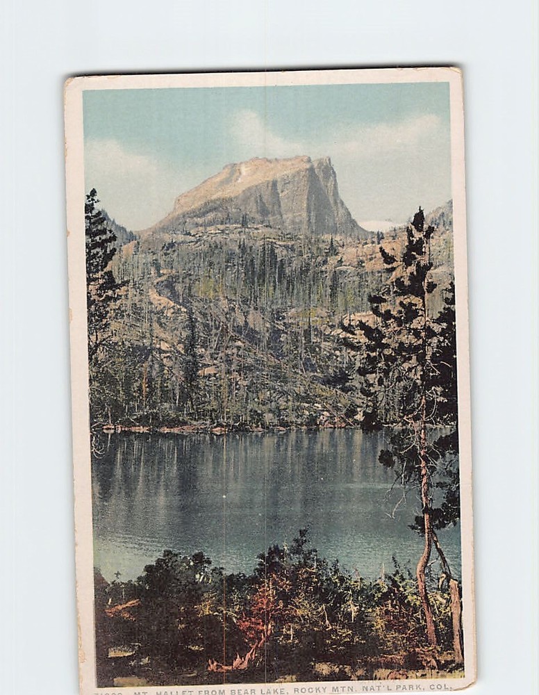 Postcard Mt. Hallet From Bear Lake Rocky Mtn. Natl. Park Colorado USA
