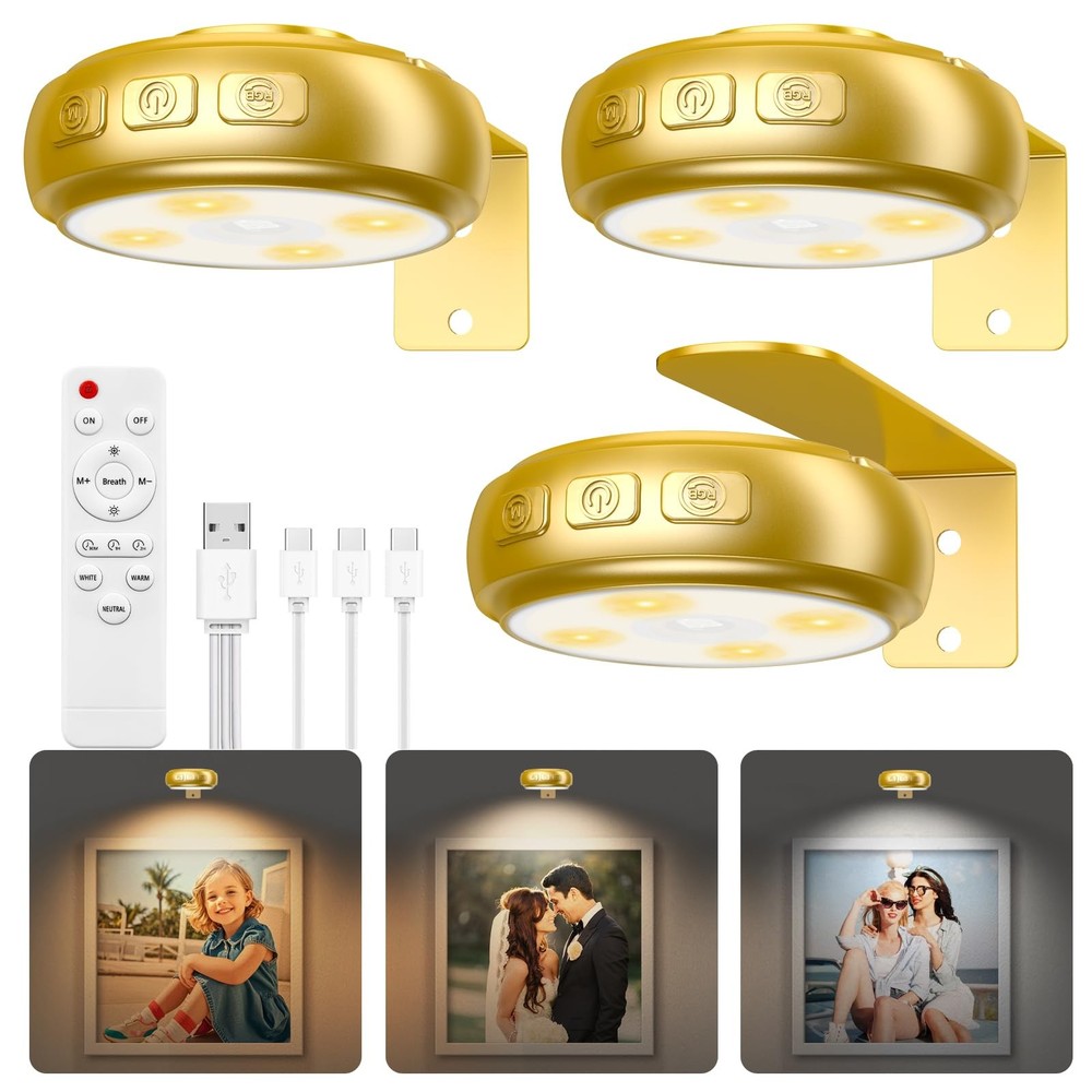 3 Pack Picture Light for Wall with 1200mAh Rechargeable Battery Operated Gold