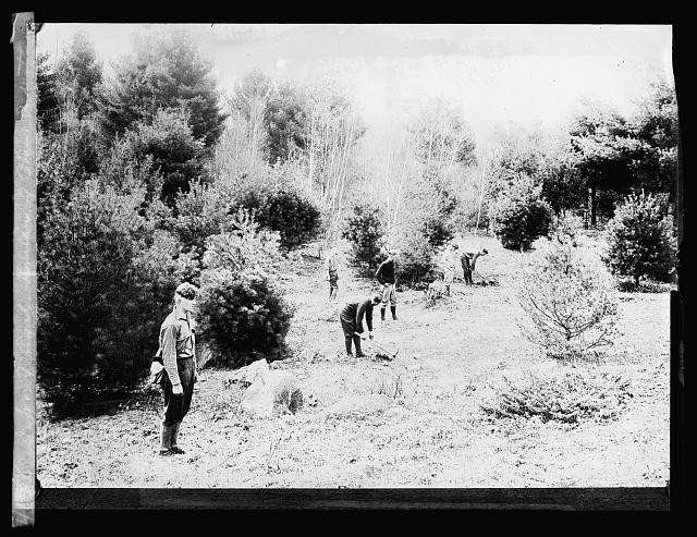 Photo:U.S. Dept. of Agriculture Plant Industry Workers in Field ca 1920