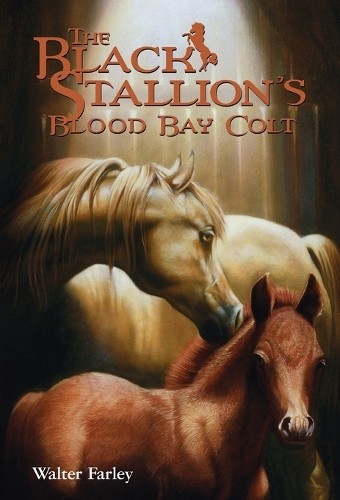 Black Stallion's Blood Bay Colt (Bla..., Farley, Walter
