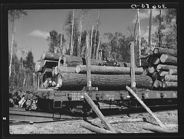 Lumber CampEffieMinnesotaMNItasca CountyFarm Security AdministrationFSA11 1