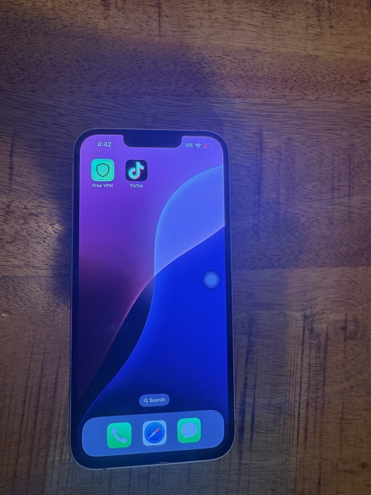 iPhone 13