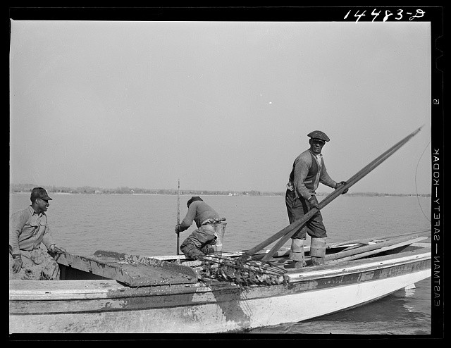 Wicomico River Maryland Oyster Tongers 1941 Men in Boat Chesapeake Bay