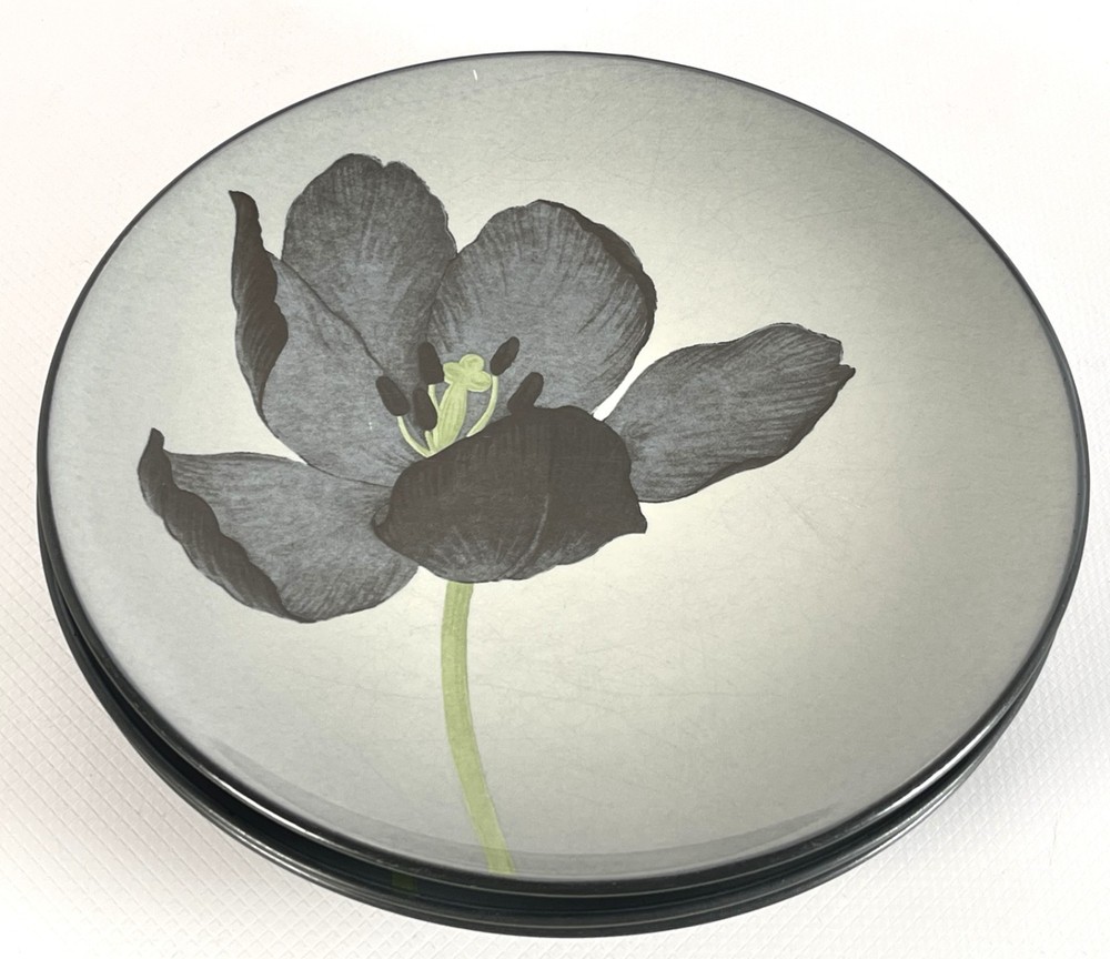 Noritake Stoneware Colorwave Graphite Tulip Accent 3 Salad Dessert Plates 8 3/8