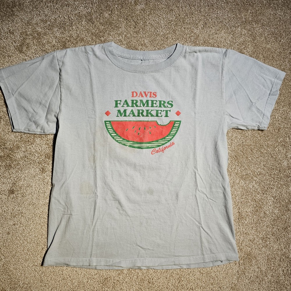 Vtg Y2k Davis Farmers Market Mens S Blue T-shirt Distressed Skate CA Watermelon