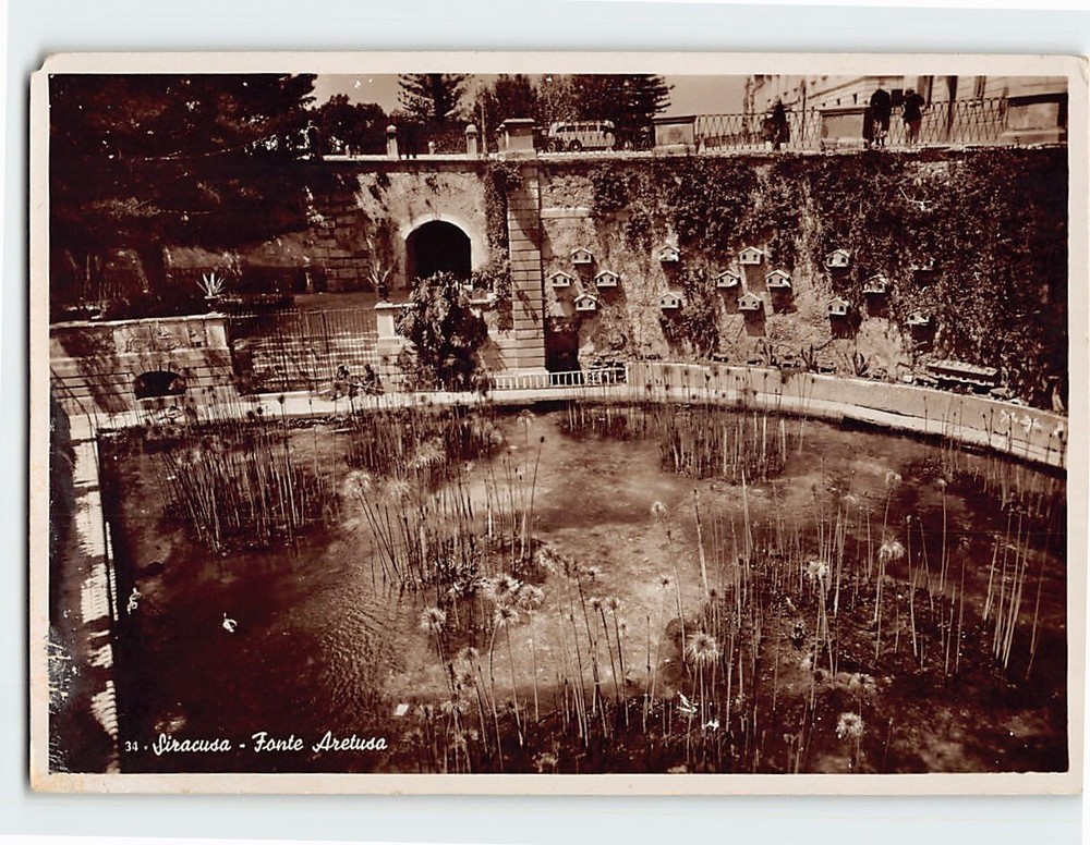 Postcard Fonte Aretusa Syracuse Italy