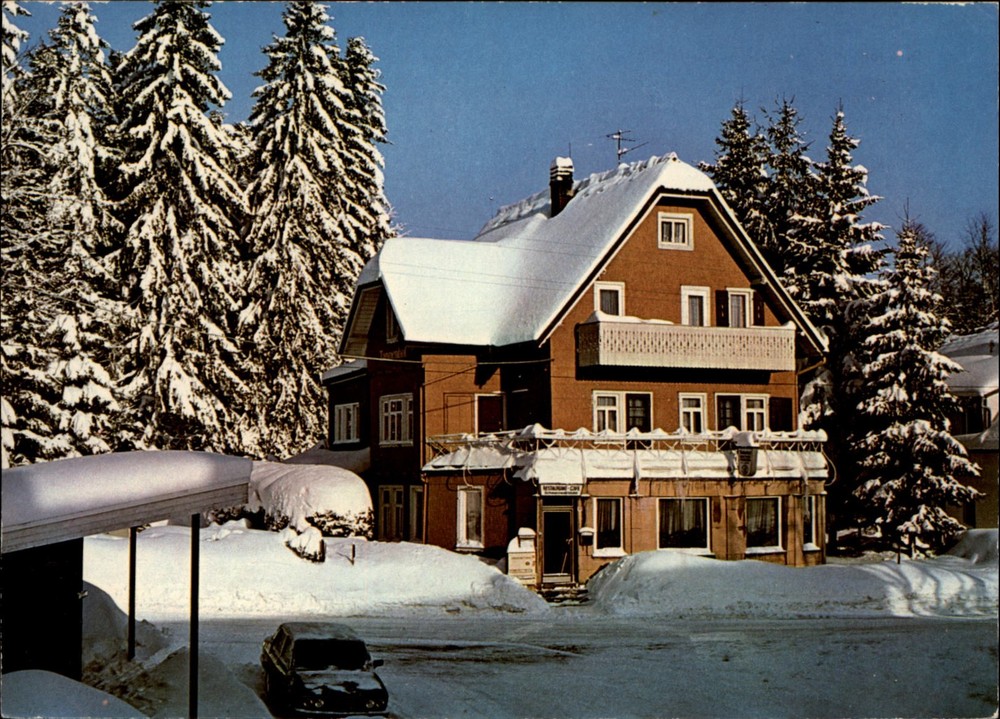 Gasthof Pension Tannenhof Zwieselberg vintage postcard s416
