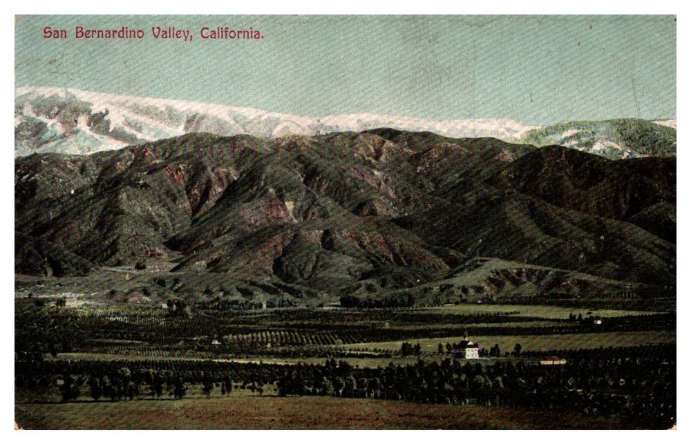 c1910 Panoramic View San Bernardino Valley California Vintage Postcard