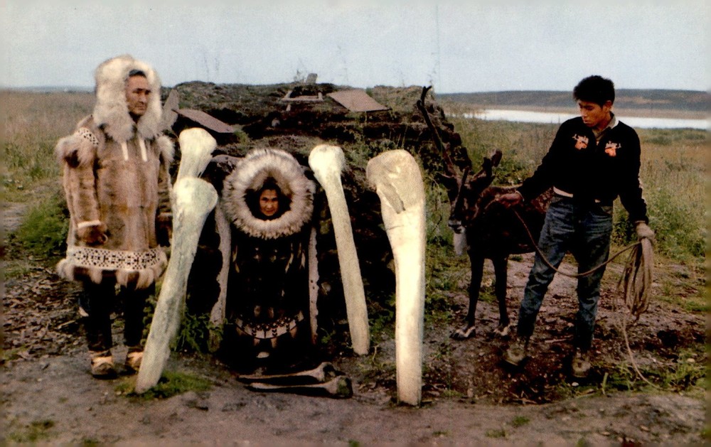 Arctic Eskimo Scene with Walrus Tusks, Alaska Postcard