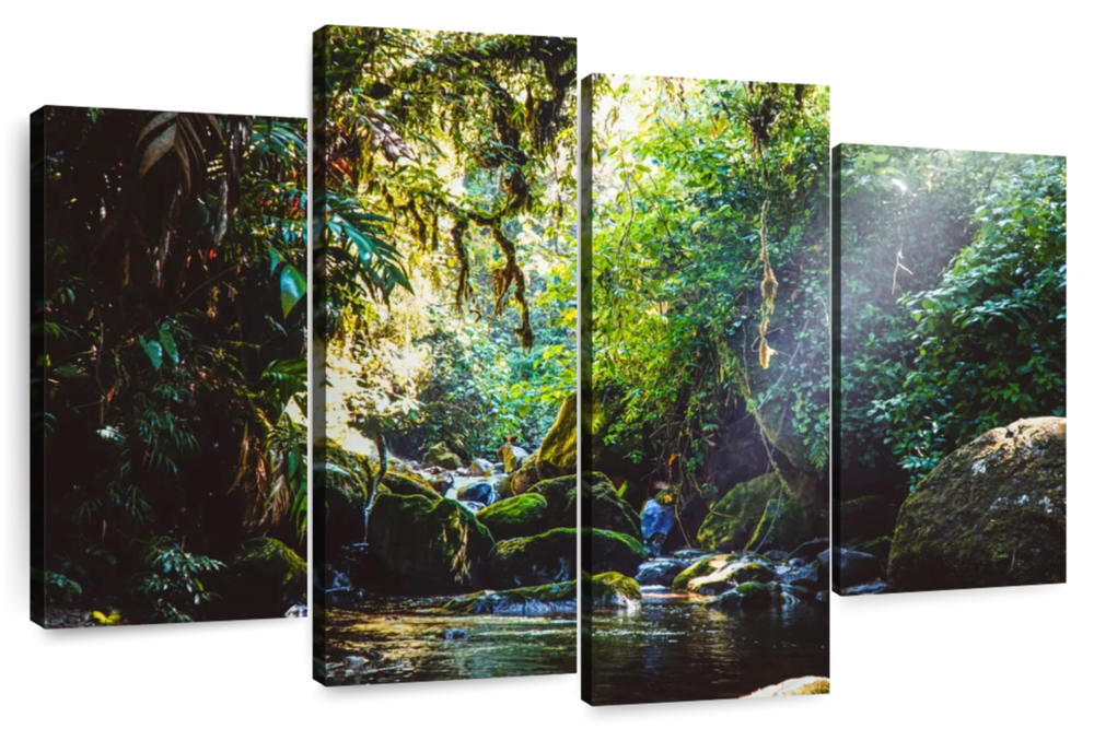 Forest In Panama Wall Art