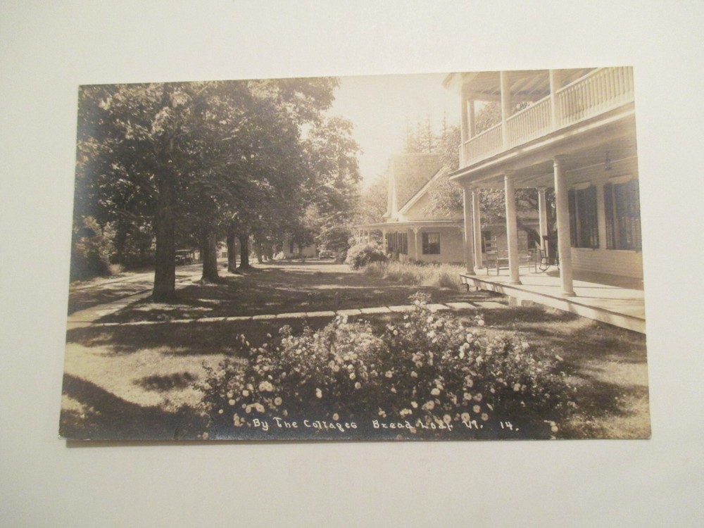 RPPC Bread Loaf Vermont Postcard By the Cottages Real Photo VT
