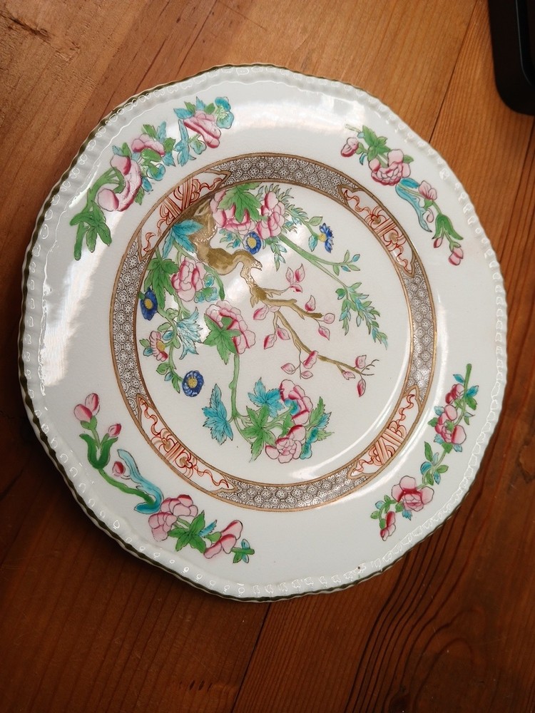Coalport Indian Tree 8.75” Luncheon Plate – Scalloped Edge England  #15