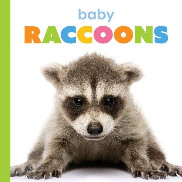 Baby Raccoons, Paperback by Thompson, Kim, Brand New, Free shipping in the US