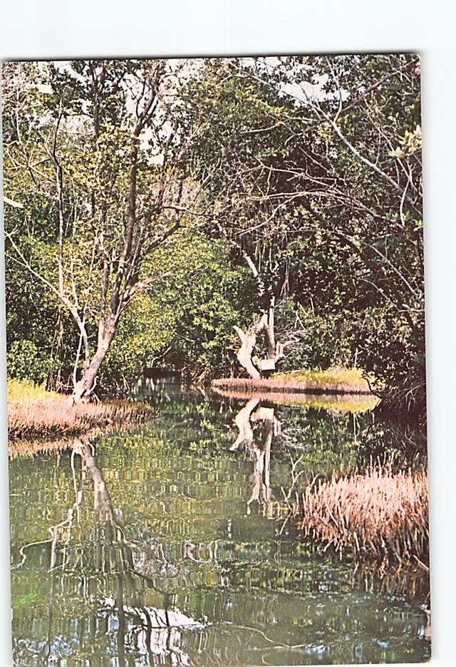 Postcard La Arestinga Isla De Margarita Venezuela