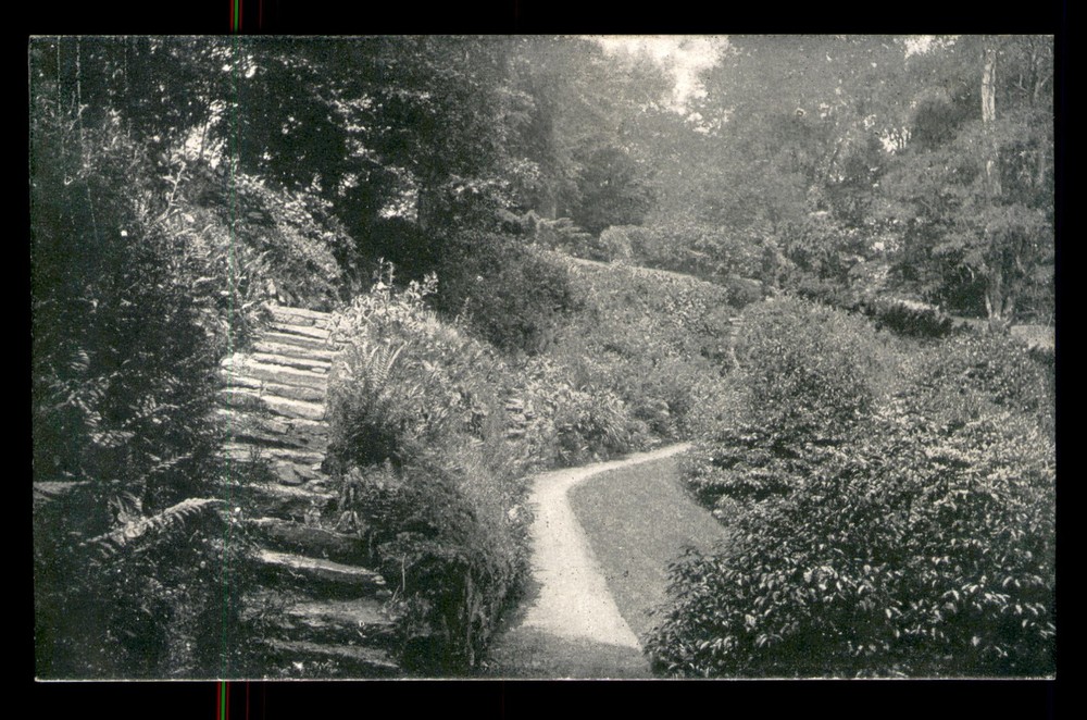 Blenheim The Rock Garden Taunt & Co 2760 England UK UNP Postcard