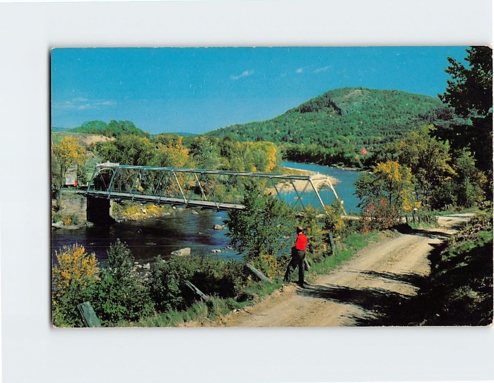 Postcard Road River Trees Mountain Nature Landscape Scenery USA