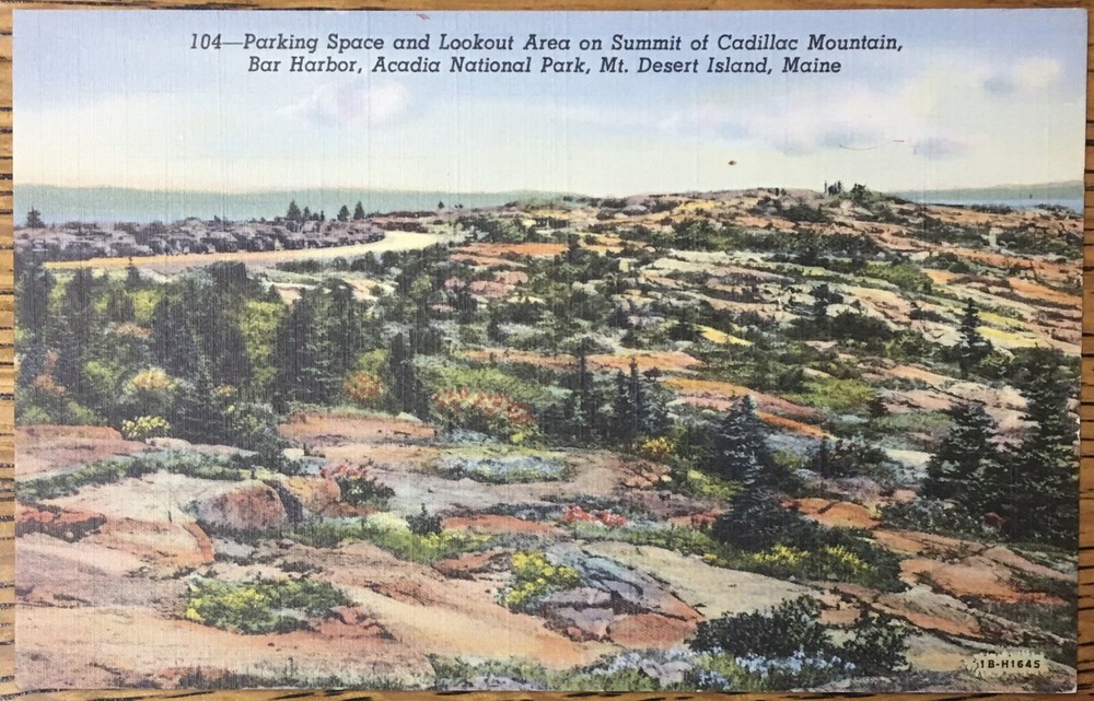 Cadillac Mountain Summit Postcard Acadia National Park, Maine, Linen Card-image