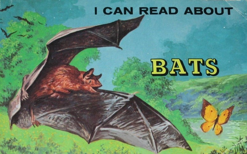 I Can Read About Bats by Warren, Good Book
