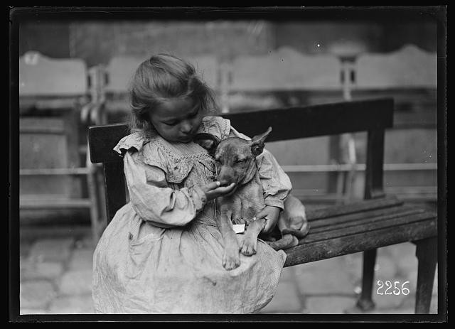 Photo:Paris France 1918 Little Refugee Girl with Dog American Red Cross