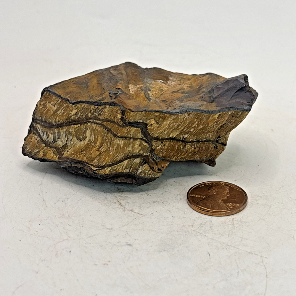 Beautiful Yellow or Golden Tigers Eye Specimen 160 Grams