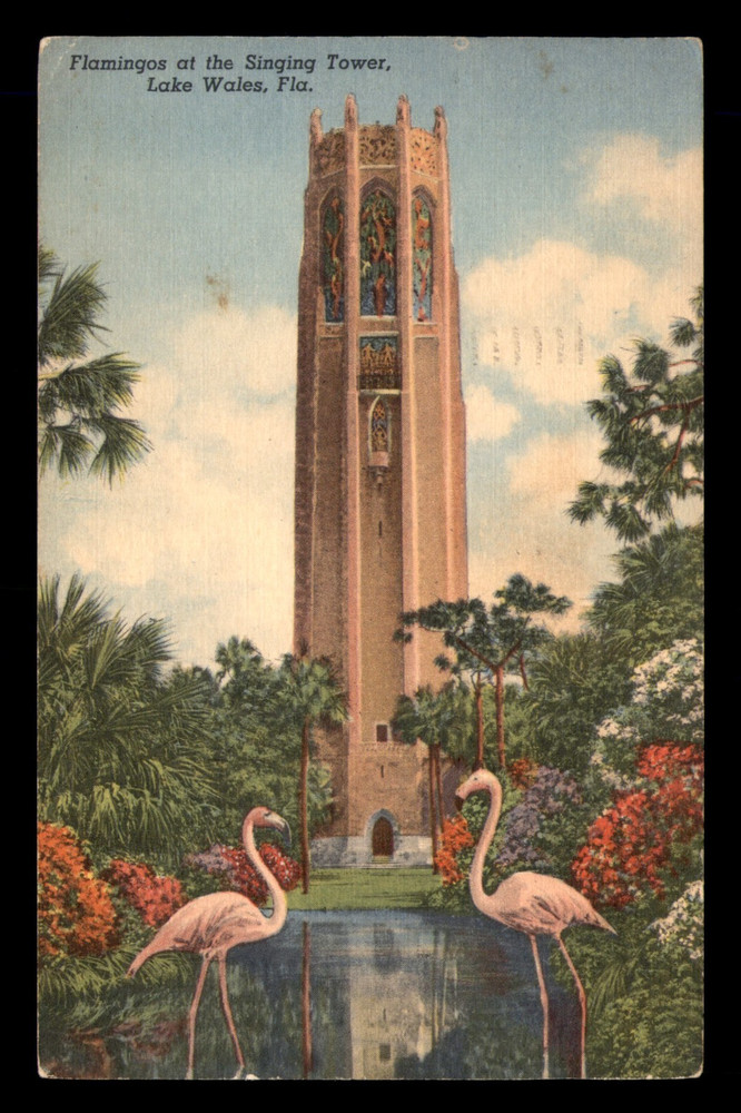 Flamingos At The Singing Tower Lake Wales Florida FL Posted Postcard
