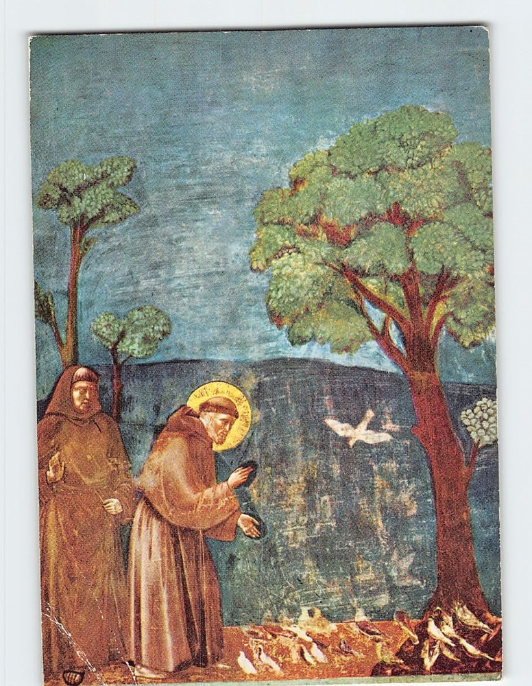 Postcard St. Francis preaching to his birds by Giotto Assisi Italy